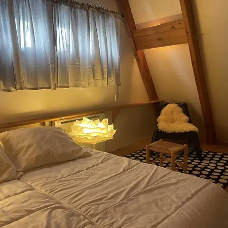 Montagnard Avec Balcon, Proche Piste Et Centre - Fr-1-814-77 Horská chata Super Besse