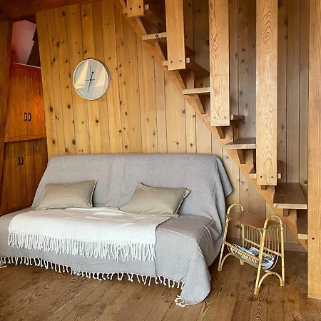 Montagnard Avec Balcon, Proche Piste Et Centre - Fr-1-814-77 Chalet Besse-et-Saint-Anastaise