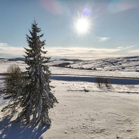 Montagnard Avec Balcon, Proche Piste Et Centre - Fr-1-814-77 Chalet *